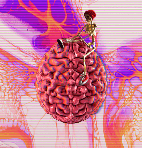 A New Community asset 48