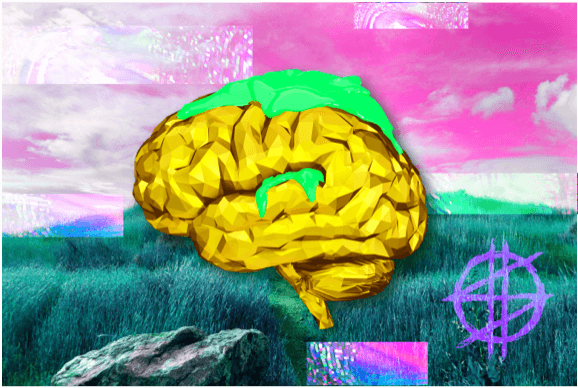 A New Community asset 30