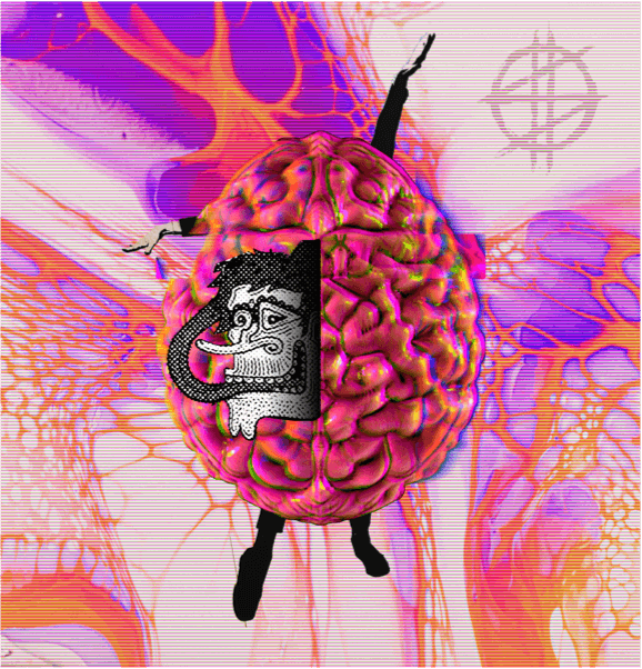 A New Community asset 43