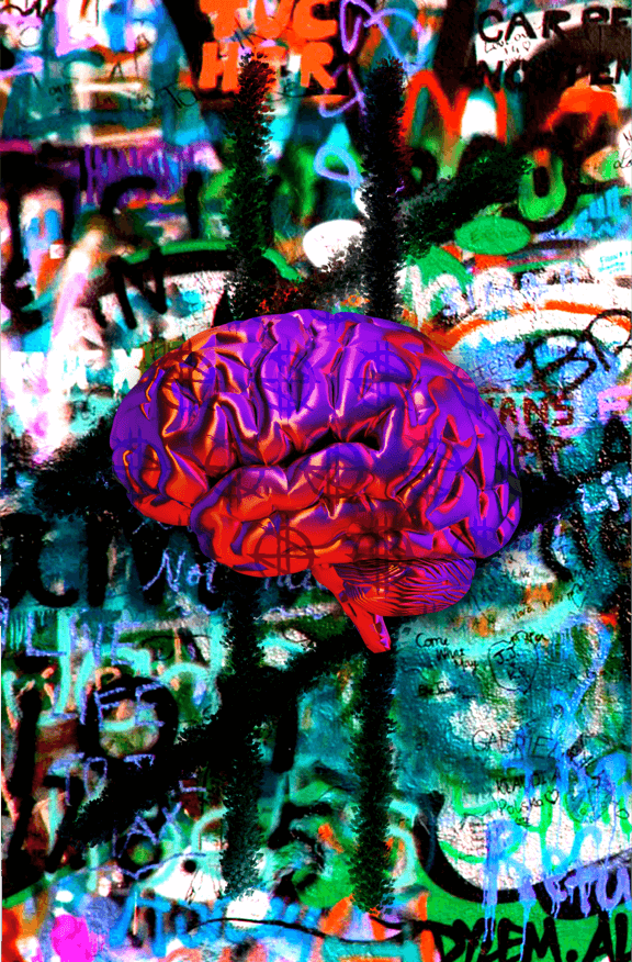 A New Community asset 2