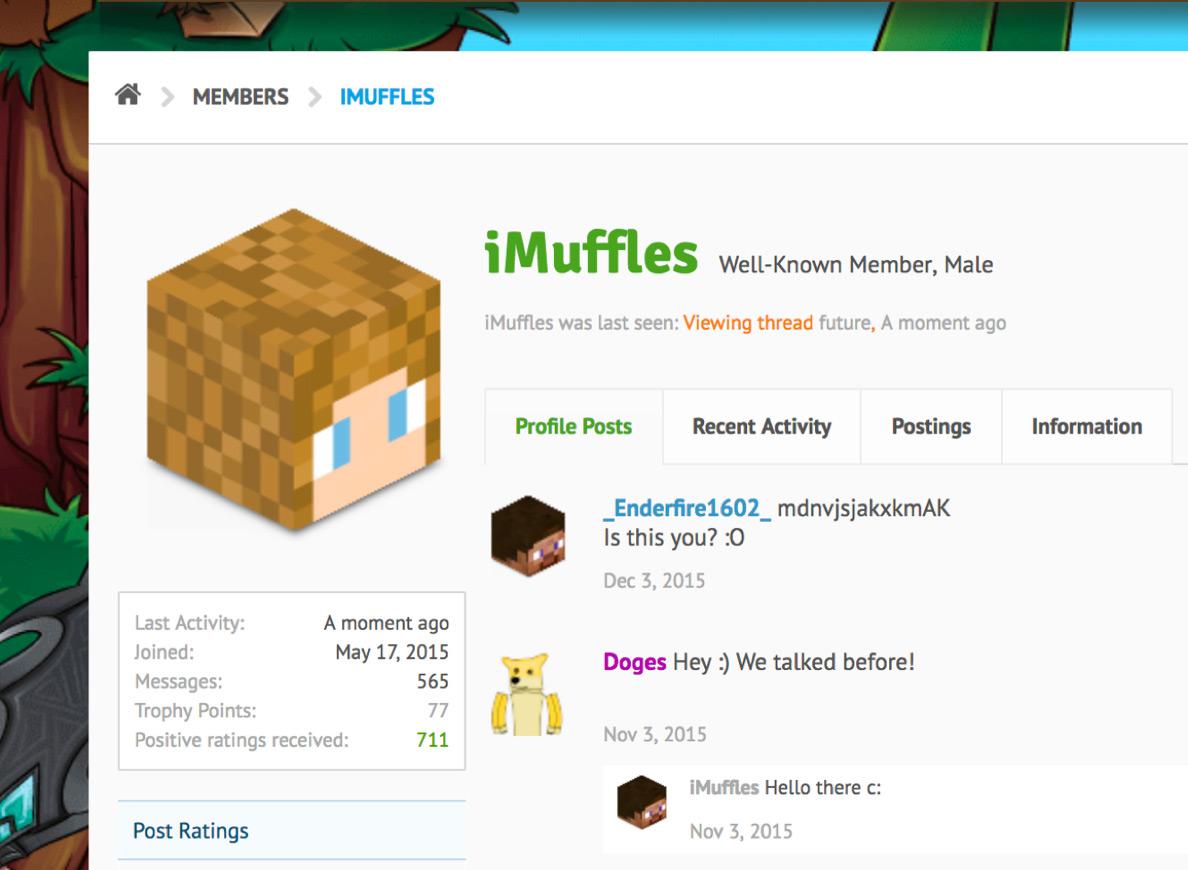 More Minecraft Communities asset 2