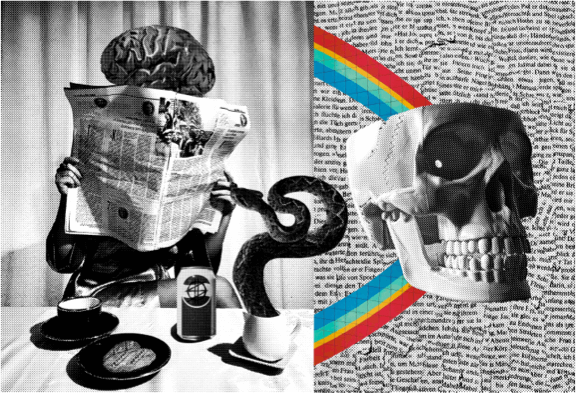 A New Community asset 5