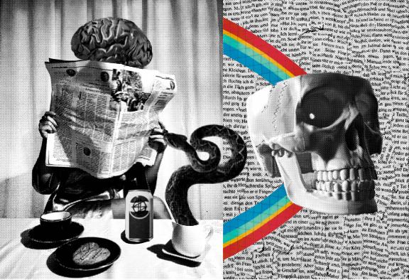 A New Community asset 42