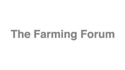 Additional Projects asset 3